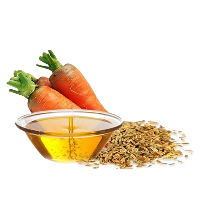 BENEFITS OF ADDING CARROT SEED OIL IN YOUR SKIN CARE ROUTINE AND STRETCH MARKS